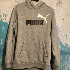Puma Men’s Grey Hoodie